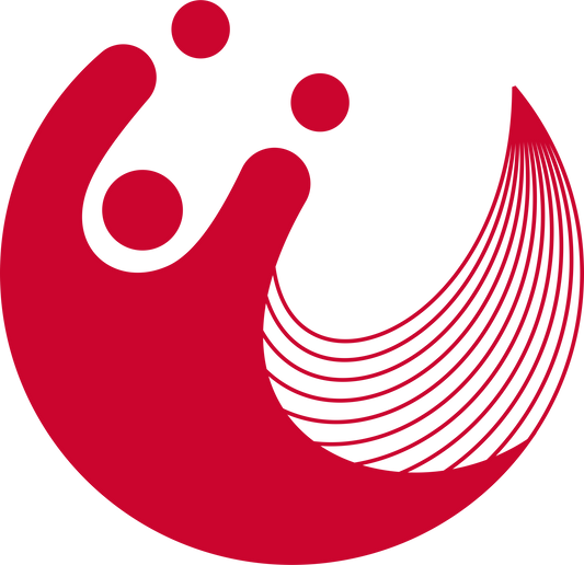 Wisdom 3 Session Package